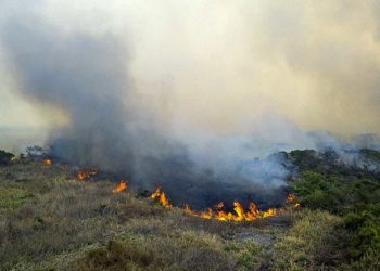 “Queima controlada” está proibida até o final do ano em Mato Grosso do Sul