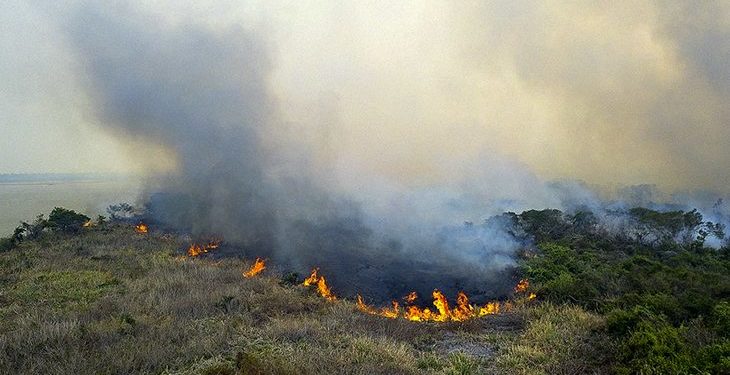“Queima controlada” está proibida até o final do ano em Mato Grosso do Sul