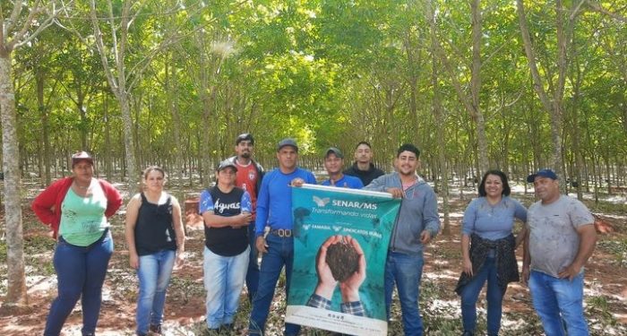 Secretaria de Agricultura realiza mais um curso sobre sangria de seringueira