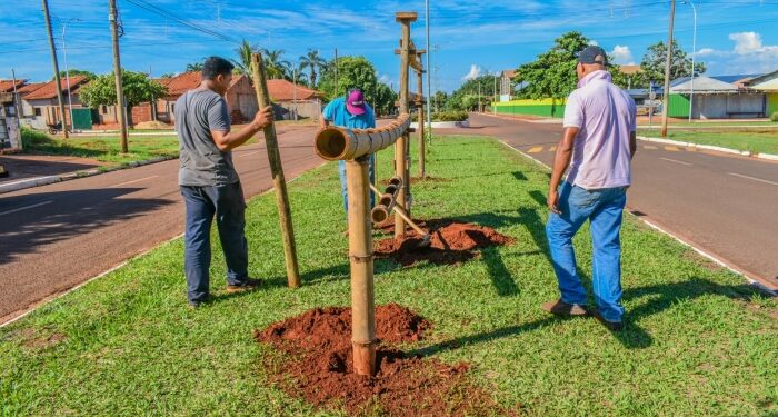 Selvíria ganha mais um espaço de alimentação para araras