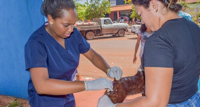 Selvíria vacina 1,2 mil cães e gatos contra a raiva animal; Imunização continua