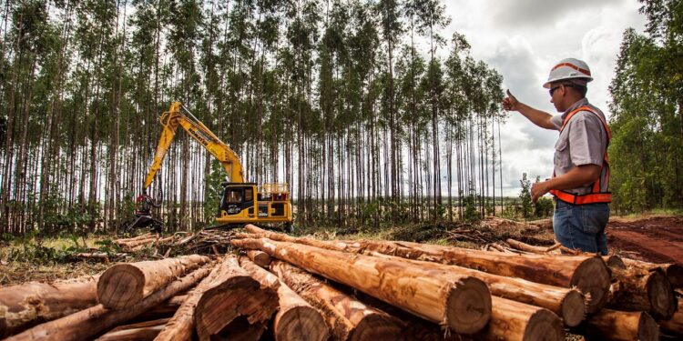 SUZANO ESTÁ COM VAGA ABERTA PARA TÉCNICO(A) EM OPERAÇÕES FLORESTAIS EM RIBAS DO RIO PARDO (MS)