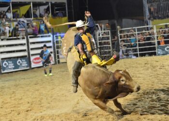 Encontro de Cowboys de Selvíria começa na quarta