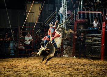 Encontro de Cowboys: Peões iniciam