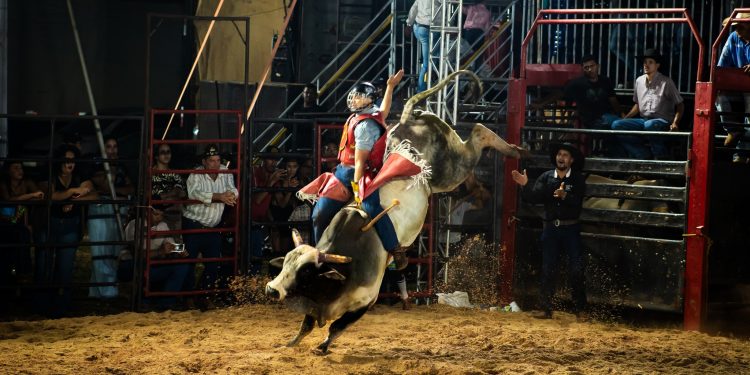 Encontro de Cowboys: Peões iniciam